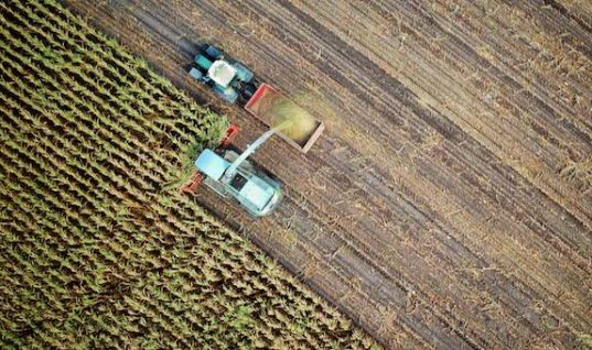 Atuação de IoT no Agro